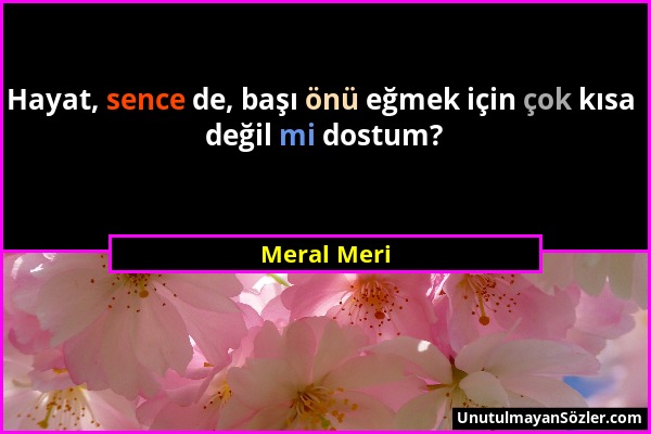 Meral Meri - Hayat, sence de, başı önü eğmek için çok kısa değil mi dostum?...