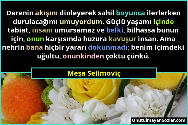 Meşa Selimoviç - Derenin akışını dinleyerek sahil boyunca ilerlerken durulacağımı umuyordum. Güçlü yaşamı içinde tabiat, insanı umursamaz ve belki, bi...