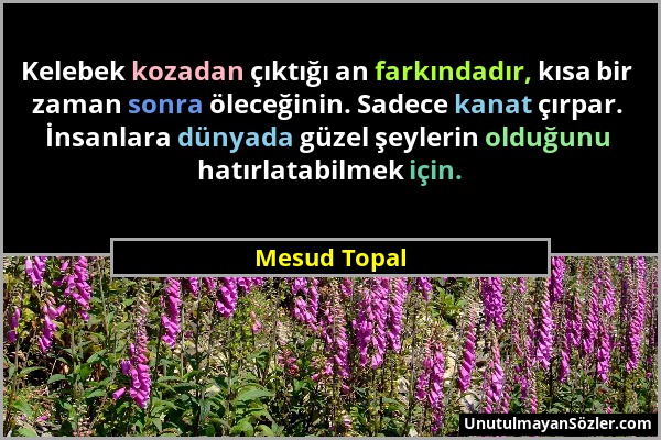 Mesud Topal - Kelebek kozadan çıktığı an farkındadır, kısa bir zaman sonra öleceğinin. Sadece kanat çırpar. İnsanlara dünyada güzel şeylerin olduğunu...