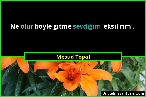 Mesud Topal - Ne olur böyle gitme sevdiğim 'eksilirim'....