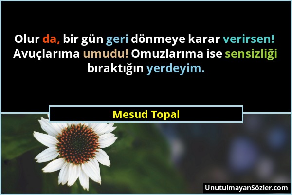 Mesud Topal - Olur da, bir gün geri dönmeye karar verirsen! Avuçlarıma umudu! Omuzlarıma ise sensizliği bıraktığın yerdeyim....