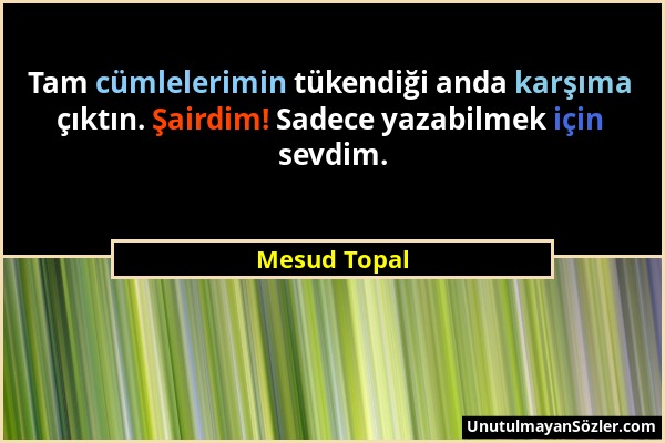 Mesud Topal - Tam cümlelerimin tükendiği anda karşıma çıktın. Şairdim! Sadece yazabilmek için sevdim....