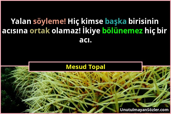 Mesud Topal - Yalan söyleme! Hiç kimse başka birisinin acısına ortak olamaz! İkiye bölünemez hiç bir acı....