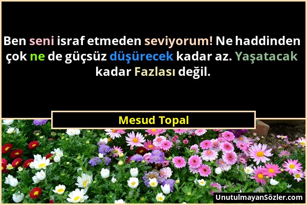 Mesud Topal - Ben seni israf etmeden seviyorum! Ne haddinden çok ne de güçsüz düşürecek kadar az. Yaşatacak kadar Fazlası değil....