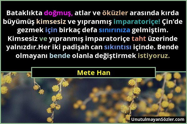 Mete Han - Bataklıkta doğmuş, atlar ve öküzler arasında kırda büyümüş kimsesiz ve yıpranmış imparatoriçe! Çin'de gezmek için birkaç defa sınırınıza ge...