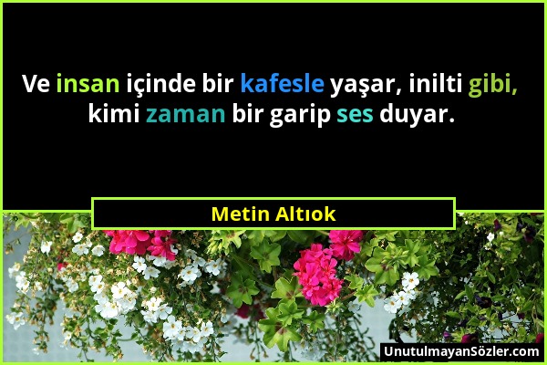 Metin Altıok - Ve insan içinde bir kafesle yaşar, inilti gibi, kimi zaman bir garip ses duyar....