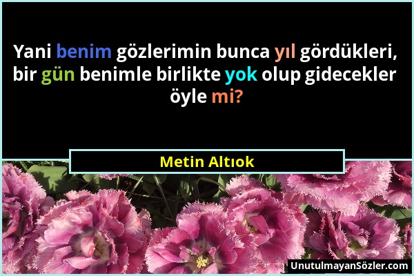 Metin Altıok - Yani benim gözlerimin bunca yıl gördükleri, bir gün benimle birlikte yok olup gidecekler öyle mi?...