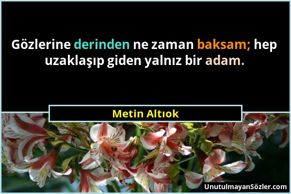 Metin Altıok - Gözlerine derinden ne zaman baksam; hep uzaklaşıp giden yalnız bir adam....