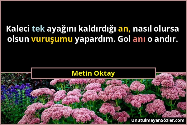 Metin Oktay - Kaleci tek ayağını kaldırdığı an, nasıl olursa olsun vuruşumu yapardım. Gol anı o andır....