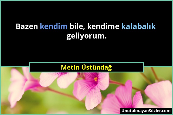 Metin Üstündağ - Bazen kendim bile, kendime kalabalık geliyorum....