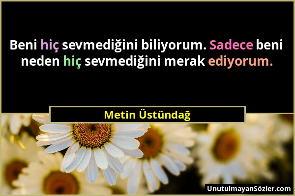 Metin Üstündağ - Beni hiç sevmediğini biliyorum. Sadece beni neden hiç sevmediğini merak ediyorum....