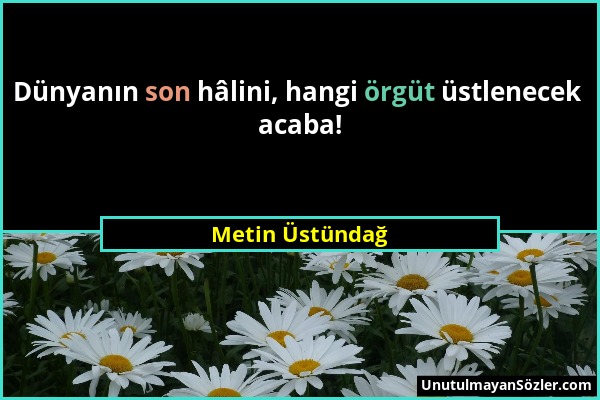 Metin Üstündağ - Dünyanın son hâlini, hangi örgüt üstlenecek acaba!...