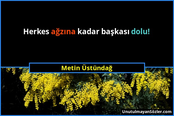 Metin Üstündağ - Herkes ağzına kadar başkası dolu!...