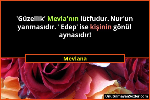 Mevlana - 'Güzellik' Mevla'nın lütfudur. Nur'un yanmasıdır. ' Edep' ise kişinin gönül aynasıdır!...