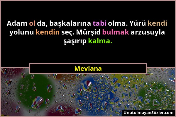 Mevlana - Adam ol da, başkalarına tabi olma. Yürü kendi yolunu kendin seç. Mürşid bulmak arzusuyla şaşırıp kalma....