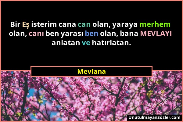 Mevlana - Bir Eş isterim cana can olan, yaraya merhem olan, canı ben yarası ben olan, bana MEVLAYI anlatan ve hatırlatan....
