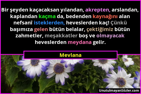 Mevlana - Bir şeyden kaçacaksan yılandan, akrepten, arslandan, kaplandan kaçma da, bedenden kaynağını alan nefsanî isteklerden, heveslerden kaç! Çünkü...