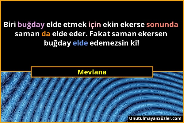 Mevlana - Biri buğday elde etmek için ekin ekerse sonunda saman da elde eder. Fakat saman ekersen buğday elde edemezsin ki!...