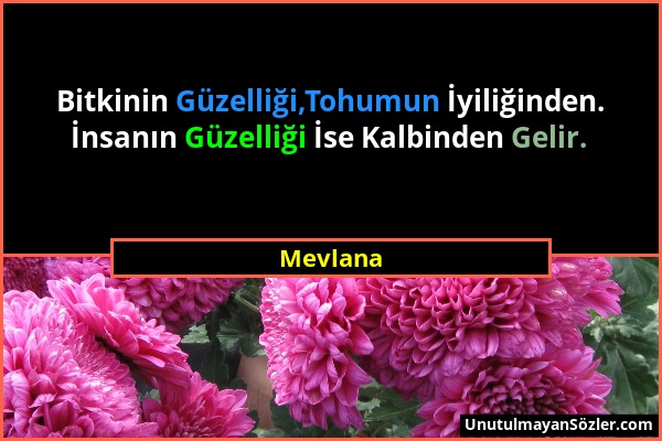 Mevlana - Bitkinin Güzelliği,Tohumun İyiliğinden. İnsanın Güzelliği İse Kalbinden Gelir....
