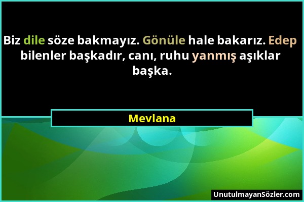 Mevlana - Biz dile söze bakmayız. Gönüle hale bakarız. Edep bilenler başkadır, canı, ruhu yanmış aşıklar başka....