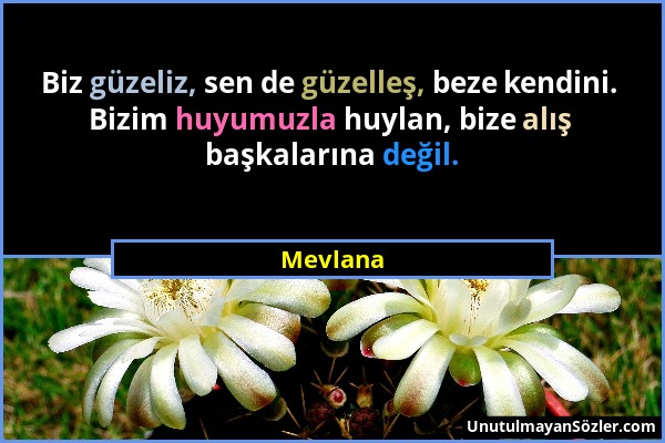 Mevlana - Biz güzeliz, sen de güzelleş, beze kendini. Bizim huyumuzla huylan, bize alış başkalarına değil....