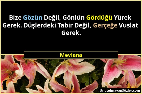 Mevlana - Bize Gözün Değil, Gönlün Gördüğü Yürek Gerek. Düşlerdeki Tabir Değil, Gerçeğe Vuslat Gerek....