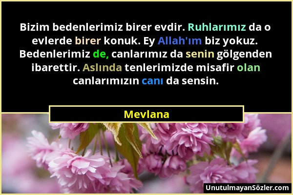 Mevlana - Bizim bedenlerimiz birer evdir. Ruhlarımız da o evlerde birer konuk. Ey Allah'ım biz yokuz. Bedenlerimiz de, canlarımız da senin gölgenden i...