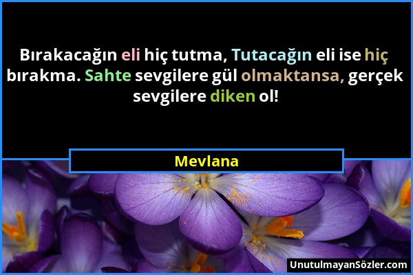 Mevlana - Bırakacağın eli hiç tutma, Tutacağın eli ise hiç bırakma. Sahte sevgilere gül olmaktansa, gerçek sevgilere diken ol!...