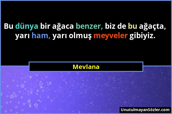 Mevlana - Bu dünya bir ağaca benzer, biz de bu ağaçta, yarı ham, yarı olmuş meyveler gibiyiz....