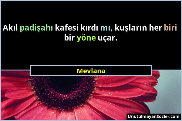 Mevlana - Akıl padişahı kafesi kırdı mı, kuşların her biri bir yöne uçar....