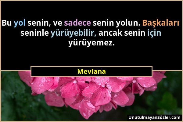 Mevlana - Bu yol senin, ve sadece senin yolun. Başkaları seninle yürüyebilir, ancak senin için yürüyemez....