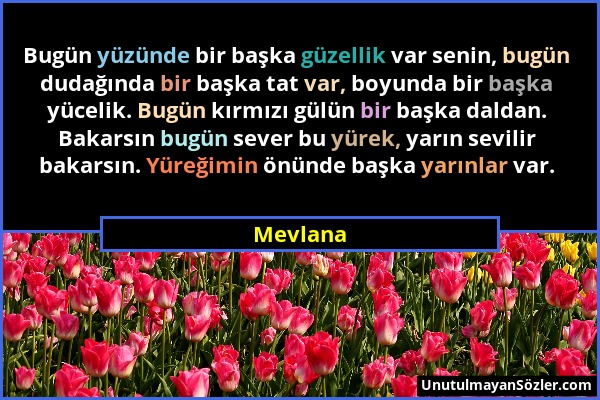 Mevlana - Bugün yüzünde bir başka güzellik var senin, bugün dudağında bir başka tat var, boyunda bir başka yücelik. Bugün kırmızı gülün bir başka dald...