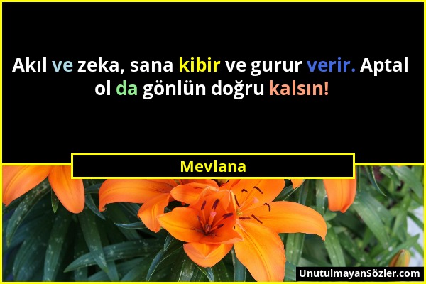 Mevlana - Akıl ve zeka, sana kibir ve gurur verir. Aptal ol da gönlün doğru kalsın!...