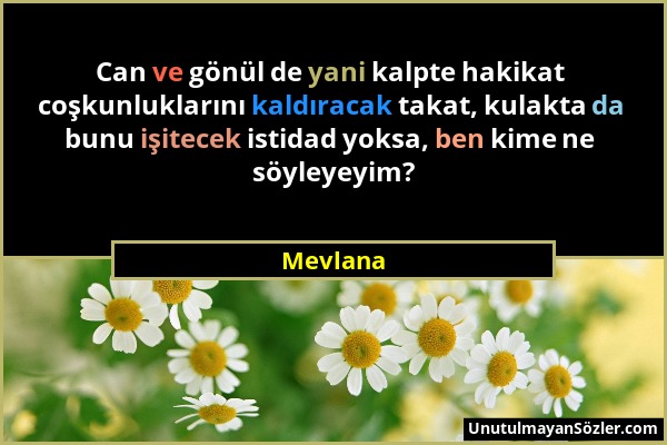 Mevlana - Can ve gönül de yani kalpte hakikat coşkunluklarını kaldıracak takat, kulakta da bunu işitecek istidad yoksa, ben kime ne söyleyeyim?...