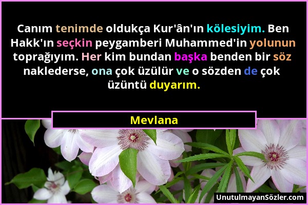 Mevlana - Canım tenimde oldukça Kur'ân'ın kölesiyim. Ben Hakk'ın seçkin peygamberi Muhammed'in yolunun toprağıyım. Her kim bundan başka benden bir söz...