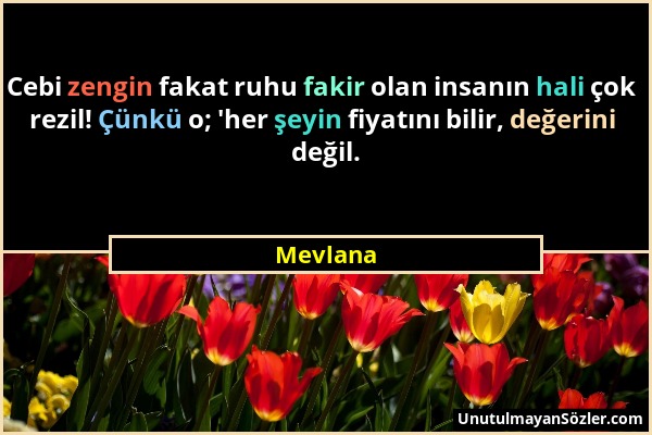Mevlana - Cebi zengin fakat ruhu fakir olan insanın hali çok rezil! Çünkü o; 'her şeyin fiyatını bilir, değerini değil....