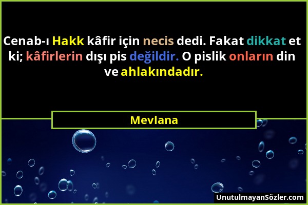 Mevlana - Cenab-ı Hakk kâfir için necis dedi. Fakat dikkat et ki; kâfirlerin dışı pis değildir. O pislik onların din ve ahlakındadır....