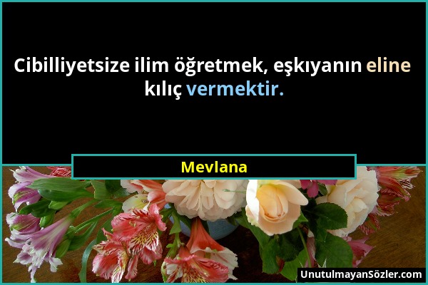 Mevlana - Cibilliyetsize ilim öğretmek, eşkıyanın eline kılıç vermektir....