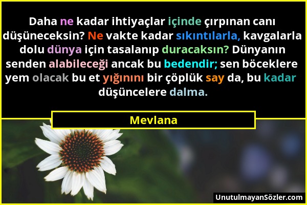 Mevlana - Daha ne kadar ihtiyaçlar içinde çırpınan canı düşüneceksin? Ne vakte kadar sıkıntılarla, kavgalarla dolu dünya için tasalanıp duracaksın? Dü...