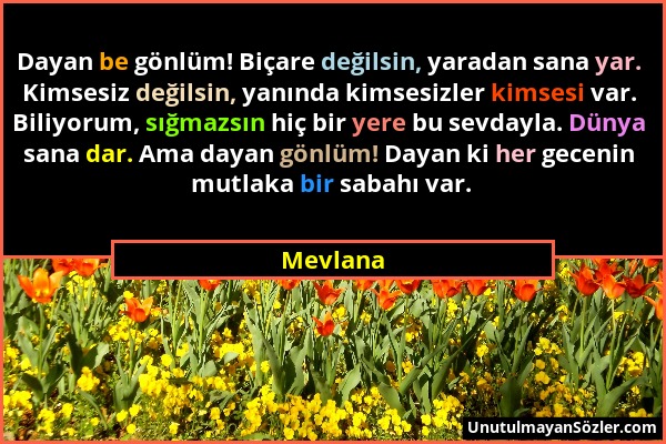 Mevlana - Dayan be gönlüm! Biçare değilsin, yaradan sana yar. Kimsesiz değilsin, yanında kimsesizler kimsesi var. Biliyorum, sığmazsın hiç bir yere bu...