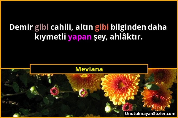 Mevlana - Demir gibi cahili, altın gibi bilginden daha kıymetli yapan şey, ahlâktır....