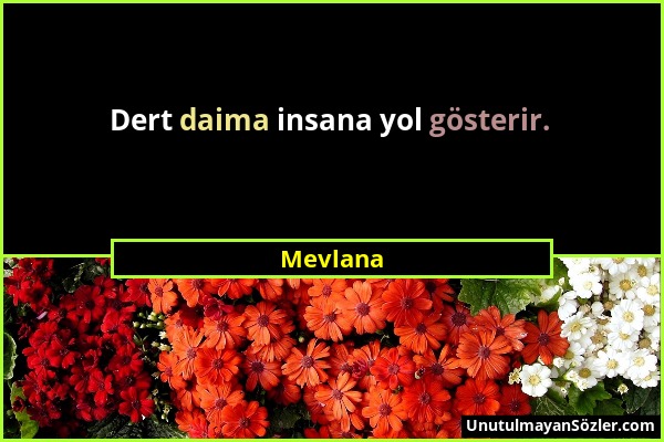 Mevlana - Dert daima insana yol gösterir....