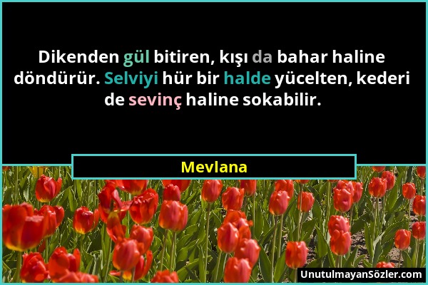 Mevlana - Dikenden gül bitiren, kışı da bahar haline döndürür. Selviyi hür bir halde yücelten, kederi de sevinç haline sokabilir....