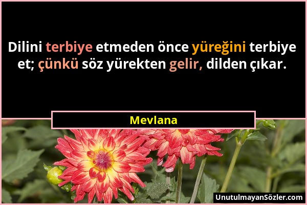Mevlana - Dilini terbiye etmeden önce yüreğini terbiye et; çünkü söz yürekten gelir, dilden çıkar....