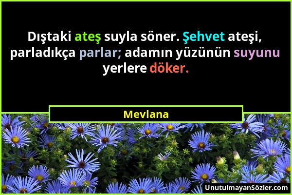 Mevlana - Dıştaki ateş suyla söner. Şehvet ateşi, parladıkça parlar; adamın yüzünün suyunu yerlere döker....