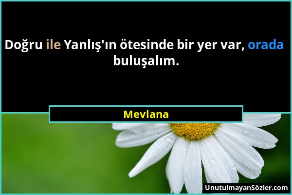 Mevlana - Doğru ile Yanlış'ın ötesinde bir yer var, orada buluşalım....