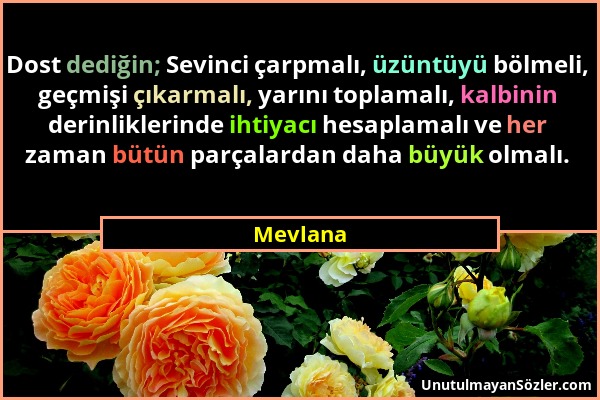 Mevlana - Dost dediğin; Sevinci çarpmalı, üzüntüyü bölmeli, geçmişi çıkarmalı, yarını toplamalı, kalbinin derinliklerinde ihtiyacı hesaplamalı ve her...