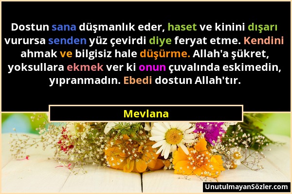 Mevlana - Dostun sana düşmanlık eder, haset ve kinini dışarı vurursa senden yüz çevirdi diye feryat etme. Kendini ahmak ve bilgisiz hale düşürme. Alla...