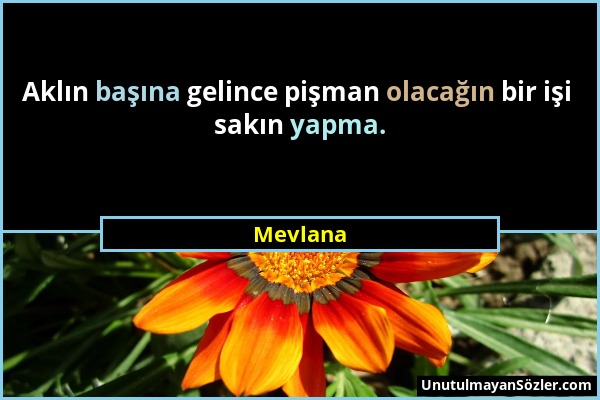 Mevlana - Aklın başına gelince pişman olacağın bir işi sakın yapma....