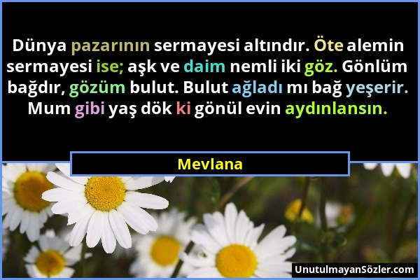 Mevlana - Dünya pazarının sermayesi altındır. Öte alemin sermayesi ise; aşk ve daim nemli iki göz. Gönlüm bağdır, gözüm bulut. Bulut ağladı mı bağ yeş...